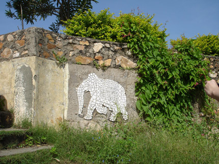 Elephant carved on wall at Sajjangarh Palace, Udaipur.